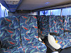 viaje confortable
