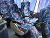 buses